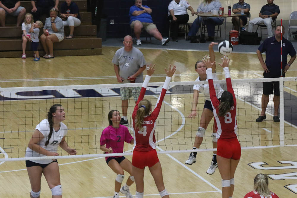 Gallery: Girls volleyball - Crown Point at Michigan City